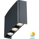Braytron 3 Renk Modlu iç-dış Mekan LED Duvar Armatürü 3cct BG38-03382 Haiti Aplik