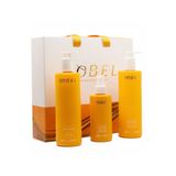 Brazilian Blowout BRAZİLİAN 3"LÜ KOFRE SET BAKIM SÜTÜ+ŞAMPUAN+MASKE
