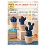 BRE HOME 3’lü Dekoratif Kaktüs Seti Yapay Saksılı Kaktüs Minimal Masa Ofis Ev Dekoru 7x10 cm