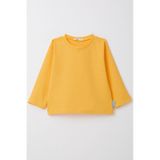 Breeze Erkek Çocuk Uzun Kollu Tişört Basic 1-4 Yaş, Sarı-sarı Sarı