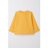 Breeze Erkek Çocuk Uzun Kollu Tişört Basic Sarı (1-4 Yaş)