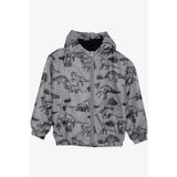 Breeze Erkek Çocuk Yağmurluk Güçlü Dinozorlar Desenli 1-6 Yaş, Füme Melanj