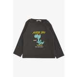 BREEZE GİRLS & BOYS Erkek Çocuk Uzun Kollu Tişört Kaykaycı Gözlüklü Dinozor Baskılı 1-4 Yaş, Koyu Gri Melanj