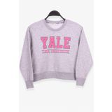 Breeze Kız Çocuk Sweatshirt Baskılı 8-14 Yaş, Gri Melanj