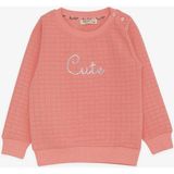 Breeze Kız Çocuk Sweatshirt Pullu Yazı Baskılı 1.5-5 Yaş, Somon - 2 Yaş