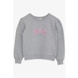 Breeze Kız Çocuk Sweatshirt Simli Yazı Baskılı 8-14 Yaş, Gri Melanj