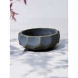 Brezilya Dizayn Taş Bonsai Aranjman ve Orkide Saksısı