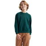 Brf Store Canarino Defacto B7772A8 Sweatshirt Erkek Çocuk