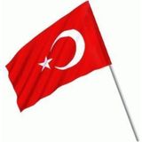Brf Store Fhm-Prıme Mashotrend 1 Adet 20 x 30 Raşel Sopalı Ayyıldız Bayrak - Türk Bayrağı - Siyah