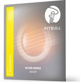 Brf Store Irmakxx Pitbull Klasik Gitar Teli Silver Seri Normal Tansiyon Set Scg Nt - Siyah