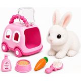 Brf Store Nerimu Oyuncak Sesli Işıklı Yürüyen Hareketli Köpek Kedi Tavşan Taşıma Çantalı Aksesuarlı Set Taşına - Siyah