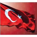 Brf Store Oreviosell Türk Bayrağı Alpaka Kumaş 400X600 cm - Siyah