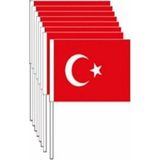 Brf Store Prime Exizticaret 100 Adet Çıtalı Orta Boy Türk Bayrağı (12CM-22CM) EXIZNM813 - Siyah
