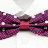 Brianze DP-11 Noktalı Lacivert Bordo Papyon