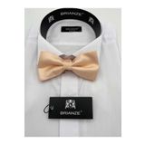 Brianze Somon Papyon Tp-21