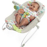 Bright Starts Ana Kucağı Yatıştırıcı Titreşimler Bebek Koltuğu