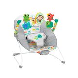 Bright Starts Playful Paradise Rahat Bebek Zıpzıp Koltuğu Yatıştırıcı Titreşim Ve Oyuncaklar, Üniseks, 0 İle 6 Aylık Arasındaki Bebekler İçin