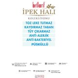 Brillant HJ11616.803 Kardelen Leke Tutmaz İpek Püsküllü 130x190 cm Halı