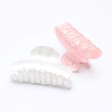 Brinie Saç Pençesi Kelepçeleri Pembe Saç Tokaları Orta Kaymaz Klipsler Kadınlar ve Kızlar için Saç Aksesuarları (2 ADET) (BT03-PW)