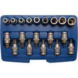 Brio Bgs Torx 1/2 19 Parça Lokma Set