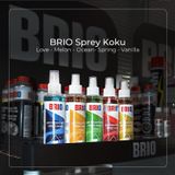 Brio Sprey Koku, Oto Koku, Arac Kokusu Seti 170 Ml