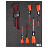 Brio Torx Seti ve Allen Seti Uzun 14 Parça Sünger Yataklı Tornavida