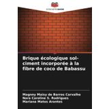 Brique écologique sol-ciment incorporée à la fibre de coco de Babassu