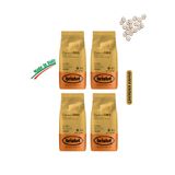 Bristot Classico ORO 4 x 1 kg Çekirdek Kahve - Orta Kavrulmuş Premium İtalyan Espresso