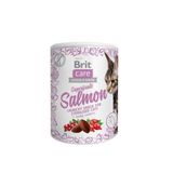 Brit Care 100 gr Kızılcık ve Kuşburnu Mama