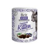 Brit Care 100 gr Kümes Hayvanlı Granül Yetişkin Kedi Ödülü
