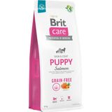 Brit Care 12 kg Deri ve Tüy Hassasiyeti Olan Yavru Tahılsız Somonlu Kuru Köpek Maması