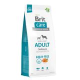 Brit Care 12 kg Deri ve Tüy Hassasiyeti Olan, Yetişkin Köpekler Için Tahılsız Somonlu Kuru Mama