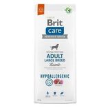Brit Care 12 kg Hypoallergenic Kuzu Large Yetişkin Köpek Maması