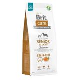Brit Care 12 kg Tahılsız Senior Light Somonlu Yetişkin Köpek Maması