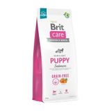 Brit Care 12 kg Tüm Irklar İçin Somonlu Tahılsız Yavru Köpek Maması