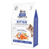 Brit Care 7 kg Tahılsız Somonlu Bağışıklık Destekleyici Yavru Kuru Kedi Maması