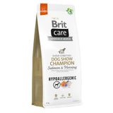 Brit Care Dog Chow Champion Somonlu ve Ringa Balıklı 12 kg Yetişkin Köpek Maması