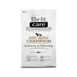 Brit Care Dog Show Champion Somonlu Ringalı 3 kg Yetişkin Köpek Maması