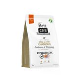 Brit Care Dog Show Shampion Salmon & Hearing Hipoalerjenik Yetişkin Köpek Maması 3 Kg