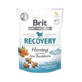 Brit Care Functioal Snack Recovery Ringa Balıklı 150 gr Köpek Ödül Maması