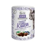 Brit Care Glütensiz 100 gr Süper Besinli Yavru Kedi Ödülü