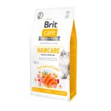 Brit Care Grain Free Hair Care Healthy & Shiny Coat Tavuklu ve Somonlu 2 kg Kedi Maması