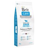Brit Care Junior Large Somonlu Büyük Irk Yavru 12 kg Kuru Köpek Maması