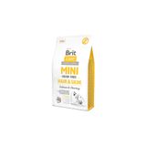 Brit Care Mini Hair Skin Somonlu Tahılsız Küçük Irk Köpek Maması 2 Kg - Petshopundan
