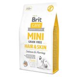 Brit Care Mini Hair Skin Somonlu Ve Ringa Balıklı Tahılsız Köpek Maması