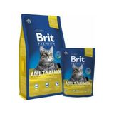 Brit Care Premium 1 kg Somon Balıklı Yetişkin Açık Kedi Maması