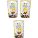 Brit Care Shiny Hair Kedi Ödülü 50 Gr. x 3 Adet