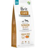 Brit Care Skin Coat Senior Light Salmon 12Kg Tahılsız Somonlu Köpek Maması Grain Free İleri Yaş