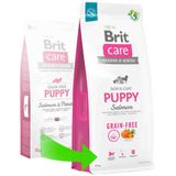 Brit Care Skin & Coat Tüm Irklar için Somonlu Tahılsız 12 kg Yavru Köpek Maması