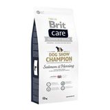 Brit Care Somonlu 12 kg Küçük Irk Yetişkin Kuru Köpek Maması